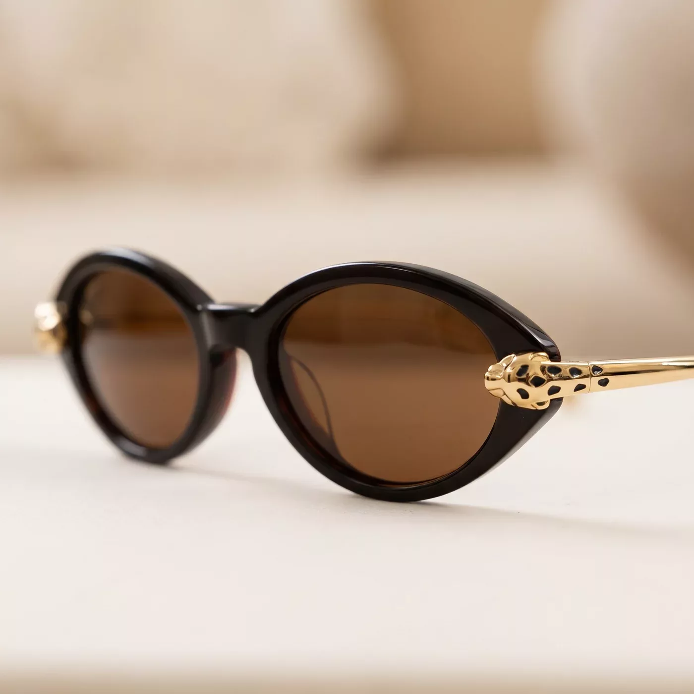 persepolis opticien destreland guadeloupe 4