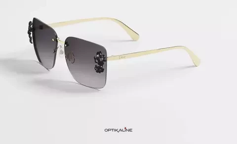 Lunettes Dior - ambiance - Site opticien a Les Abymes Guadeloupe