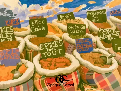 Comment choisir ses verres progressifs ? - vue generale - Opticien a pointe à pitre - guadeloupe-pointe-a-pitre-carnot