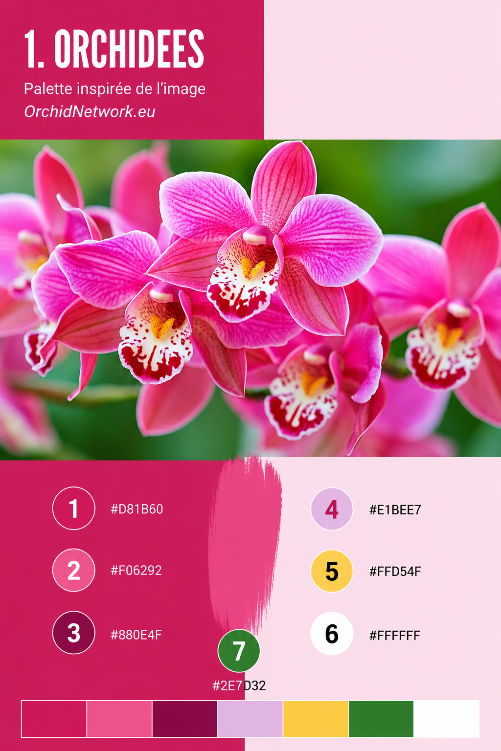 nature - vue generale - Site internet pour opticien - opticien-art