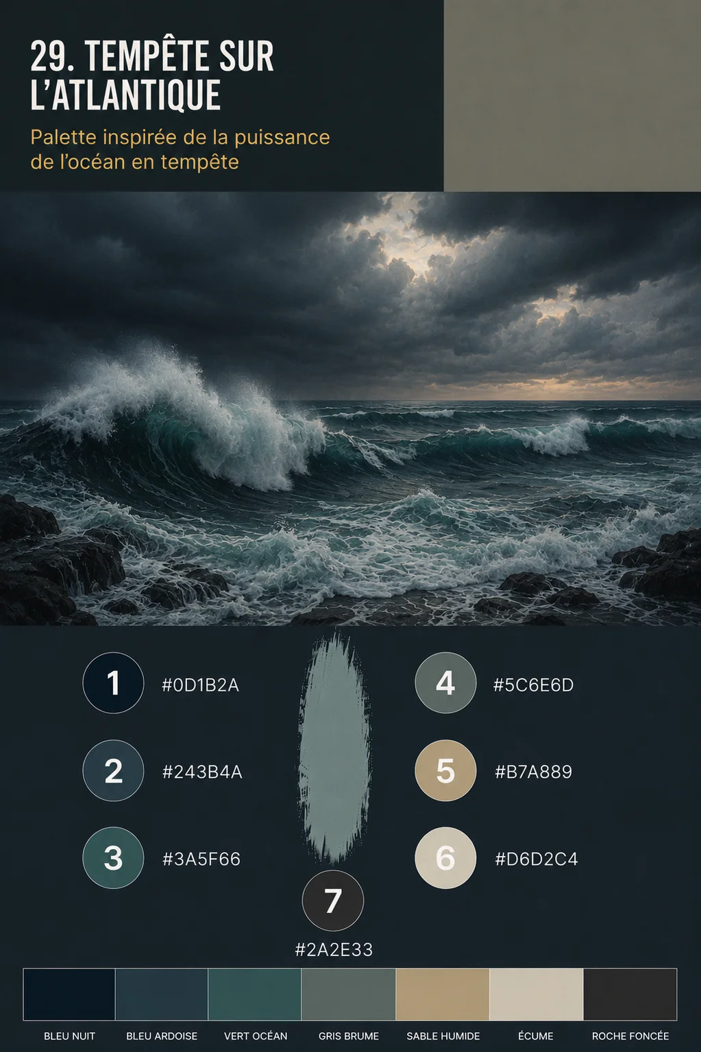 ocean - mise en situation - opticien.art crée des sites internet complets pour opticiens avec référencement local, pages m...