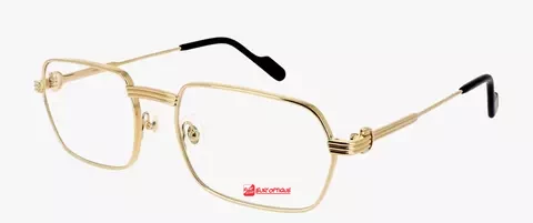 Lunettes Cartier - detail - vente de lunettes a Saint Denis de la Réunion
