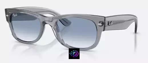 Lunettes Ray Ban : la marque de lunettes la plus portée au monde - vue generale - opticien.art