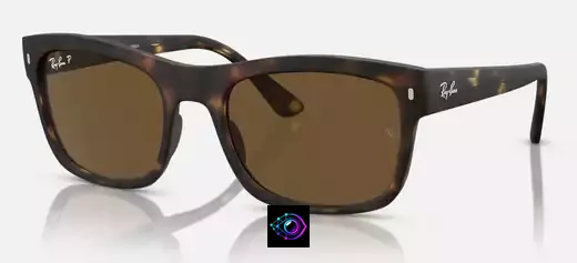 Lunettes Ray Ban : la marque de lunettes la plus portée au monde - vue generale - Sites internet, référencement local et v...