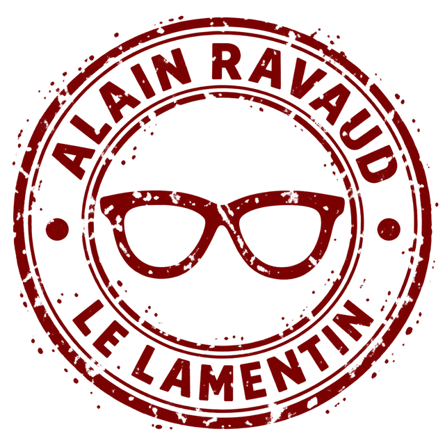 Media kit - image de galerie - Site opticien au Lamentin