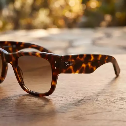 Lunettes Ray-Ban en Guadeloupe à Pointe à Pitre - detail - Optique Guadeloupe a Le Gosier